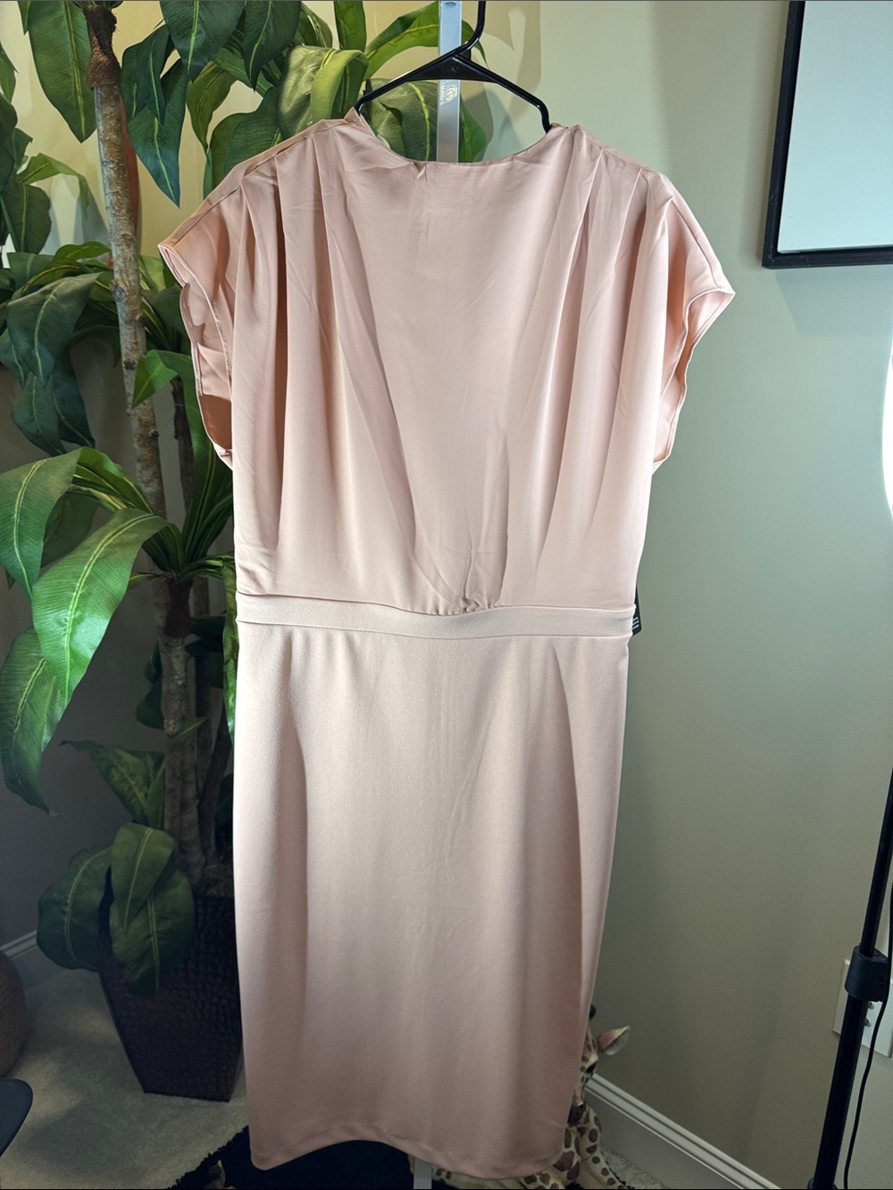 Beautiful Women's Blush Pink Cap-Sleeve Dress from Express. Size L, New W/ Tag